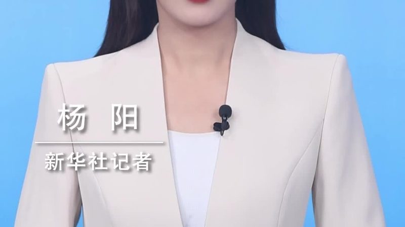 数据安全存储：守护企业核心资产的坚实壁垒